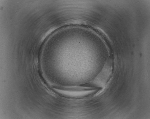 X0000067901065200604271847