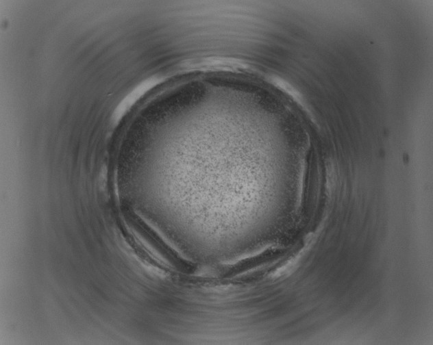 X0000067901066200604271847