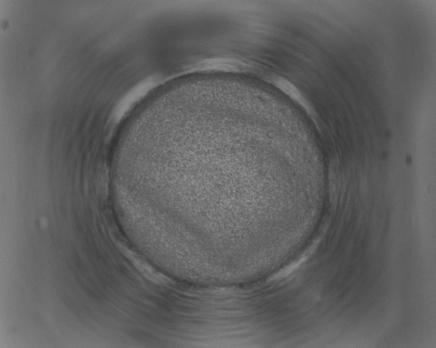 X0000067901067200604271847