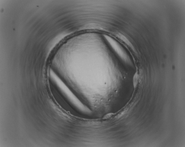 X0000067901068200604271847