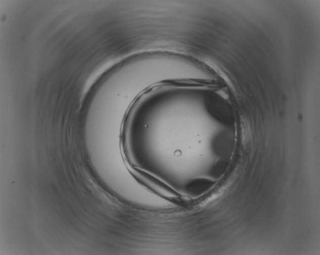 X0000067901069200604271847