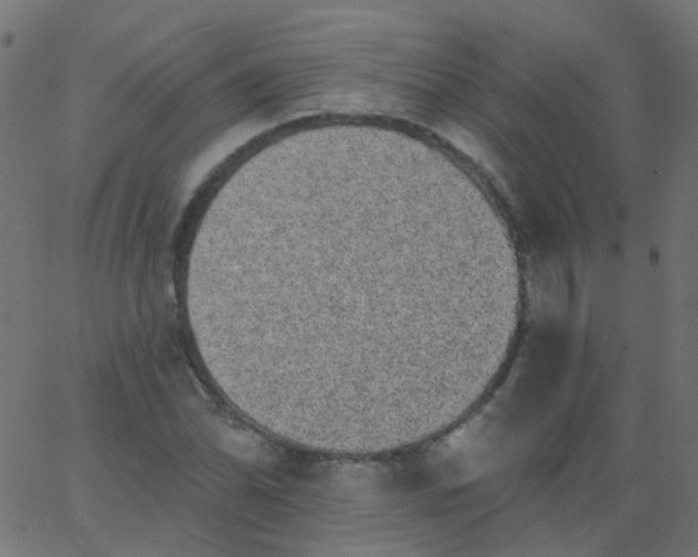 X0000067901070200604271847