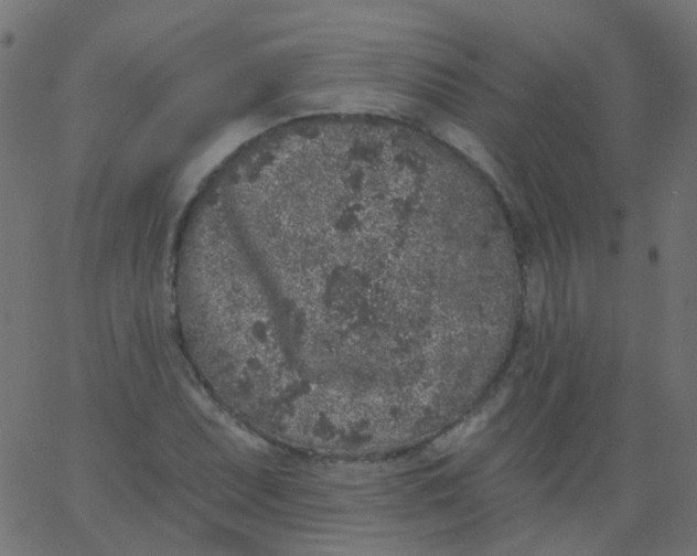 X0000067901071200604271847