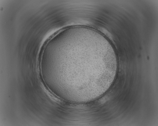 X0000067901072200604271846