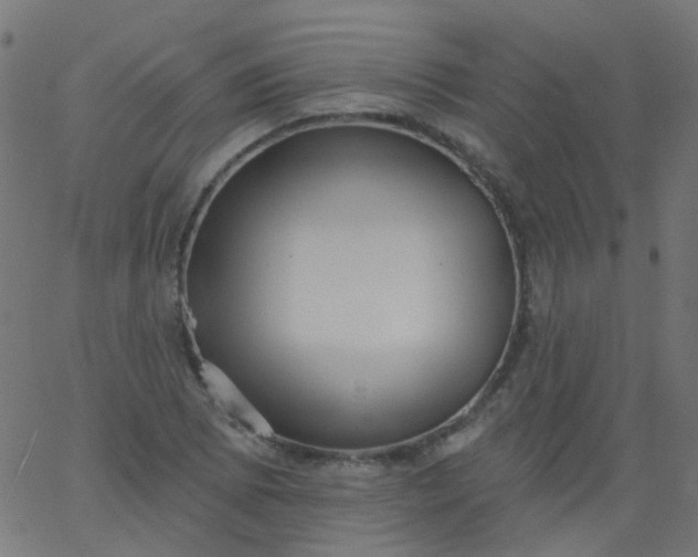 X0000067901073200604271846