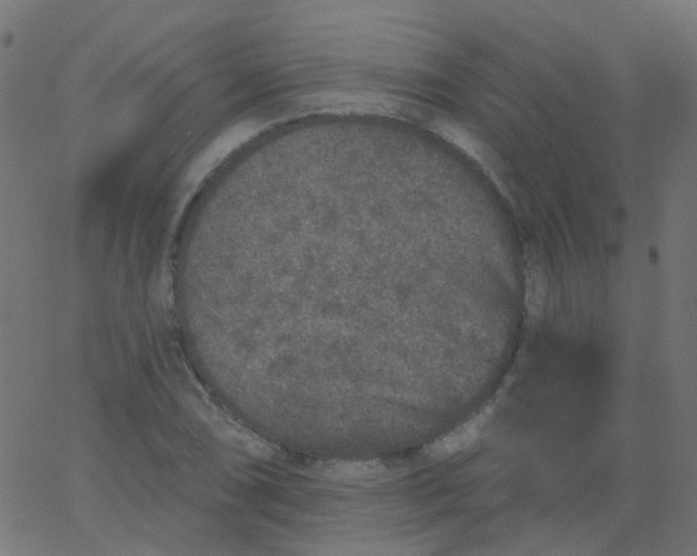 X0000067901074200604271846