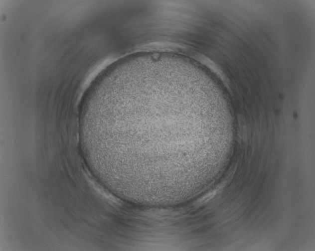 X0000067901075200604271846