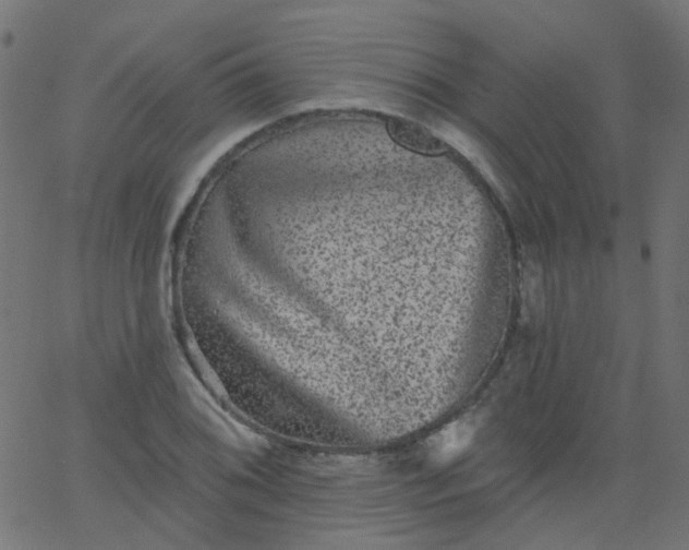 X0000067901076200604271846