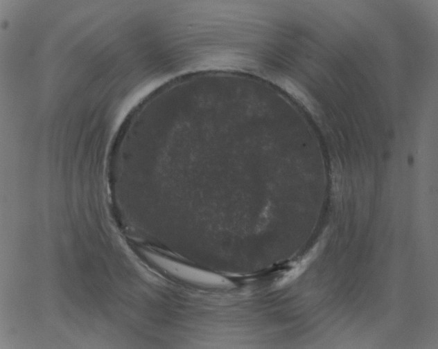 X0000067901077200604271846