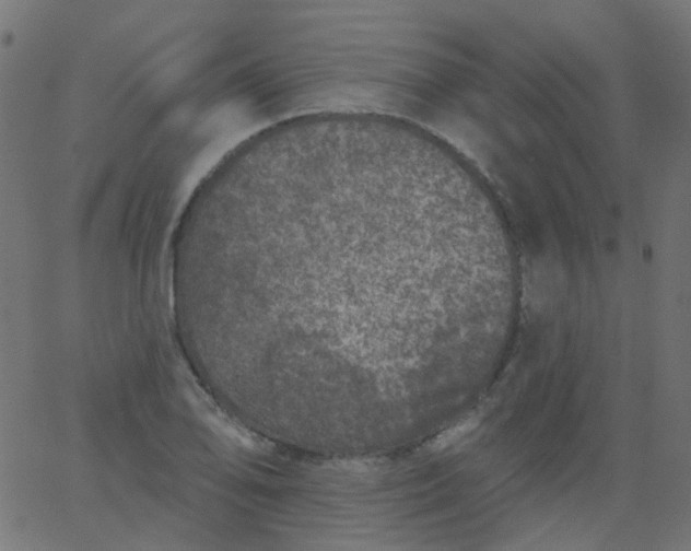 X0000067901078200604271846