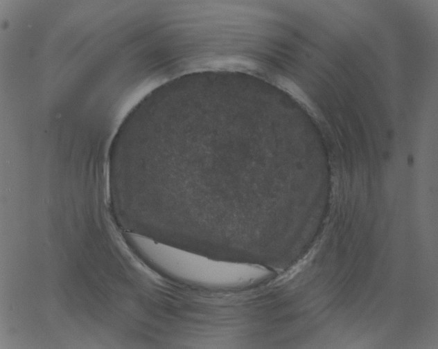 X0000067901079200604271846