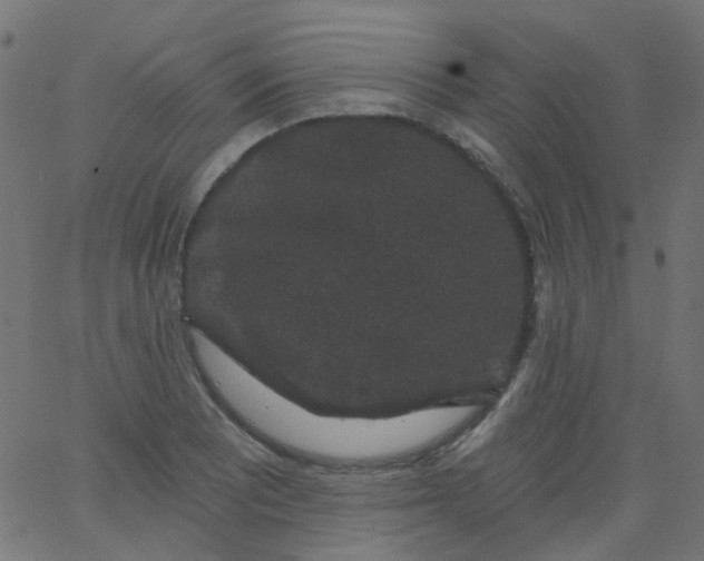 X0000067901081200604271846