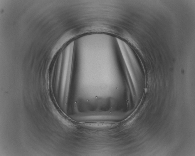 X0000067901082200604271846