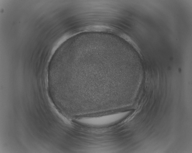 X0000067901083200604271846