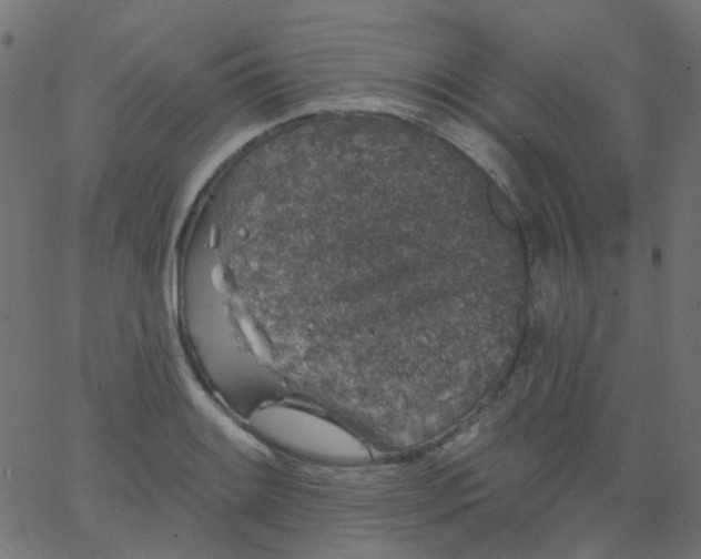 X0000067901084200604271846