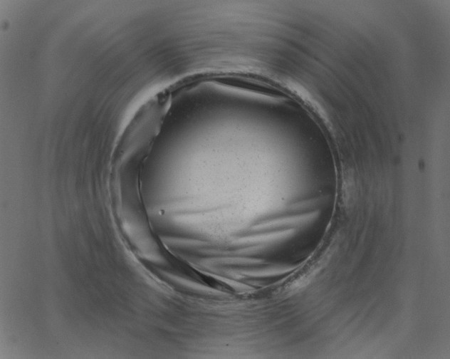 X0000067901085200604271846