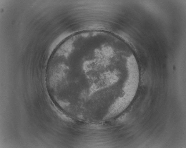 X0000067901086200604271846