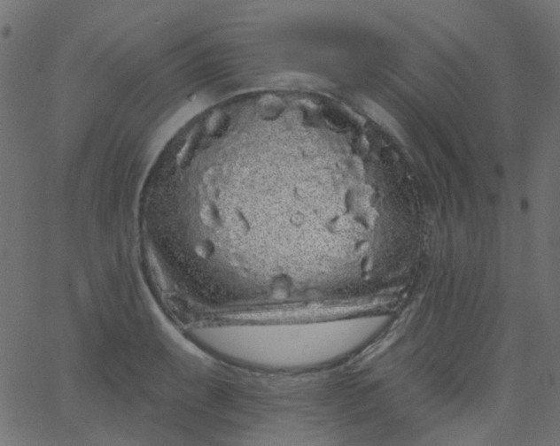 X0000067901087200604271846