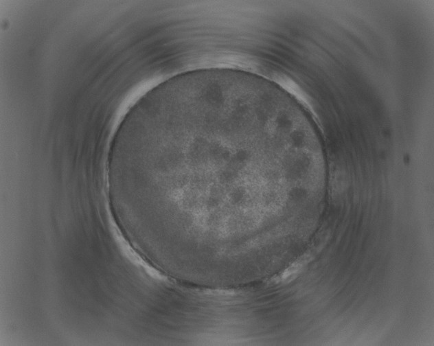 X0000067901088200604271846