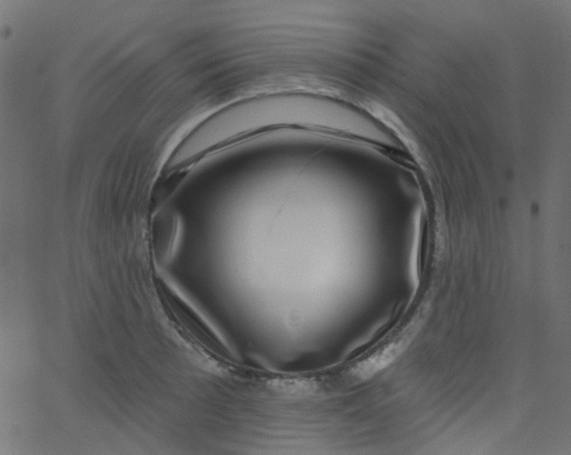 X0000067901089200604271846