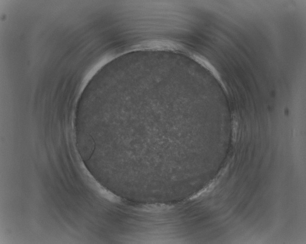 X0000067901091200604271846