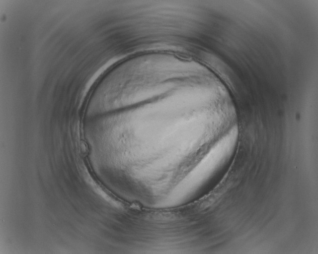 X0000067901092200604271846