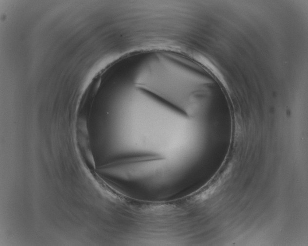 X0000067901093200604271846