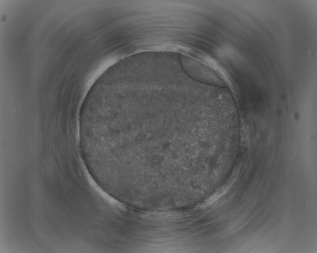 X0000067901095200604271846