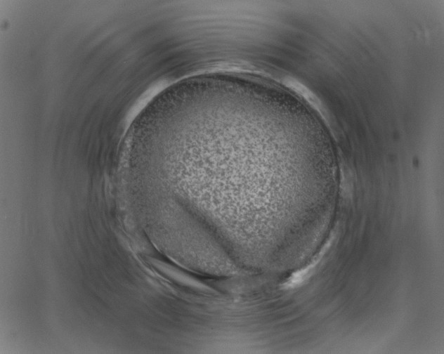 X0000067901097200604271846