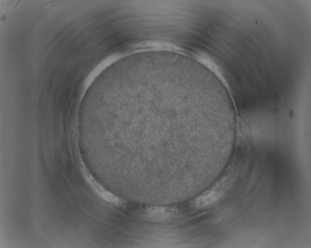 X0000067901098200604271846