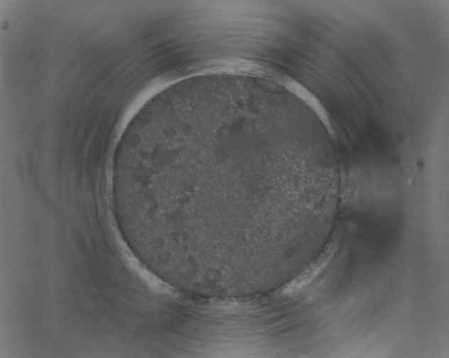 X0000067901099200604271846