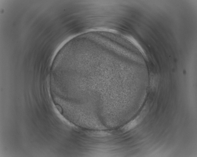 X0000067901100200604271846