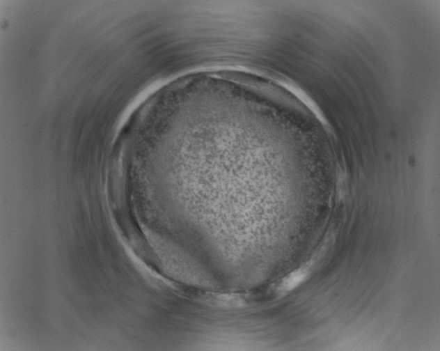 X0000067901101200604271846