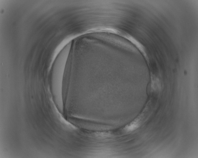 X0000067901102200604271846