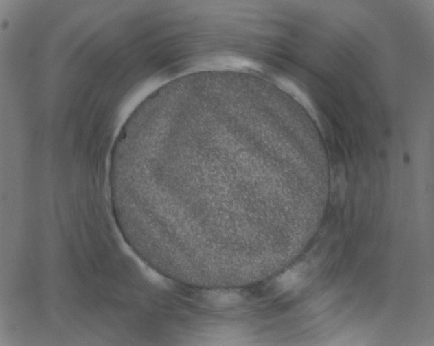 X0000067901103200604271846