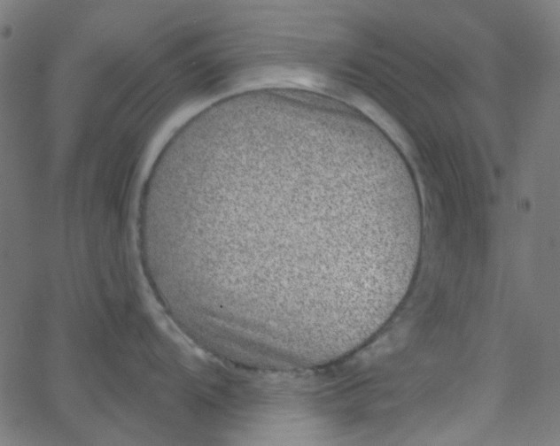 X0000067901104200604271846