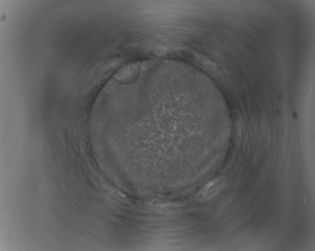 X0000067901105200604271845