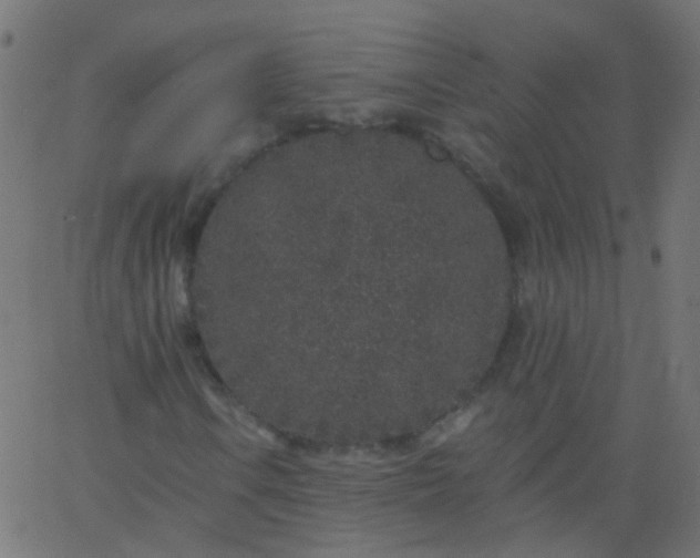 X0000067901106200604271845