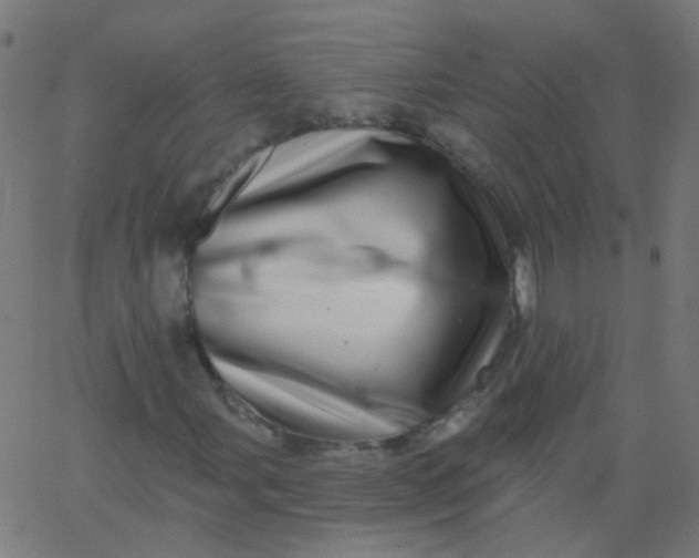 X0000067901107200604271845