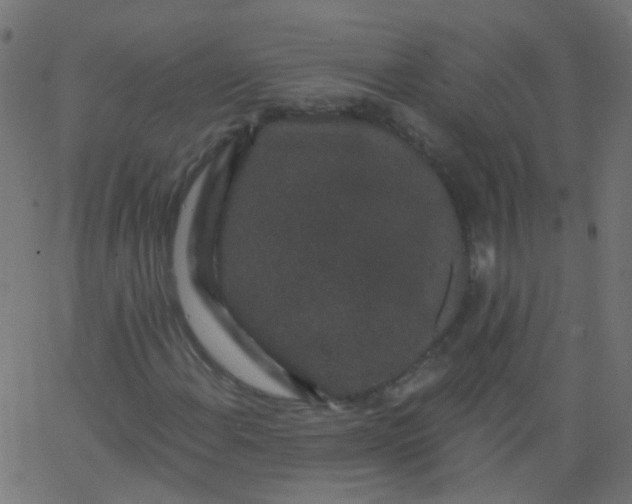 X0000067901108200604271845