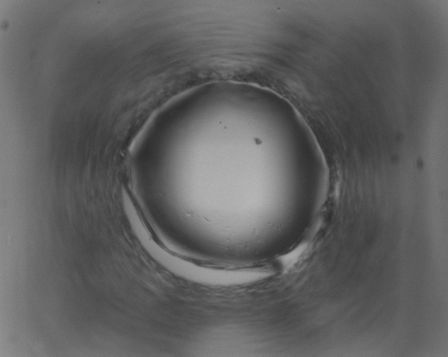 X0000067901109200604271845