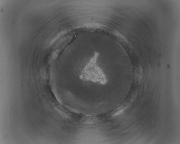 X0000067901110200604271845