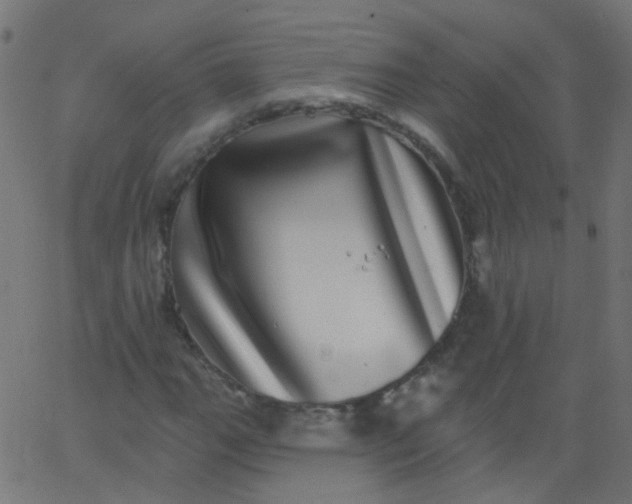 X0000067901111200604271845