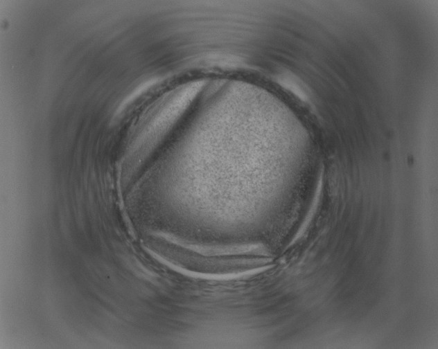 X0000067901112200604271845