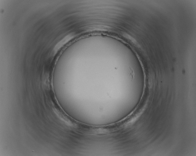 X0000067901113200604271845