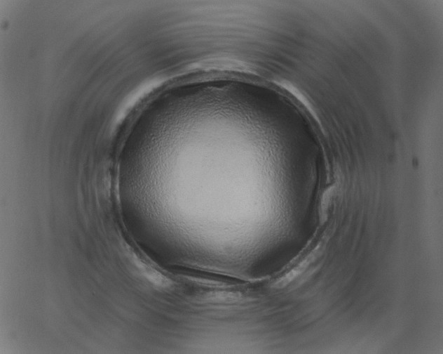 X0000067901115200604271845