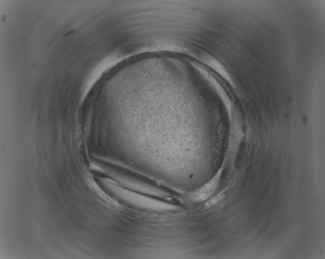 X0000067901116200604271845