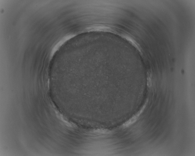 X0000067901117200604271845