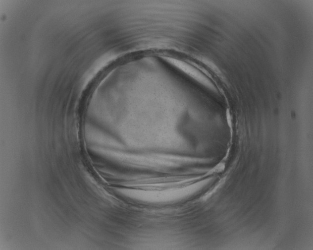 X0000067901118200604271845