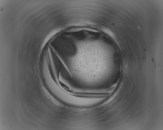 X0000067901122200604271845